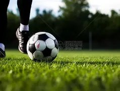 勇士今晚更,渴望胜利,华盛顿为之,米乐YY易游,YY,米乐YY易游官网,米乐YY易游体育官网,米乐YY易游体育下载,米乐YY易游APP